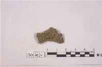 藏品(茶漬衣屬)的圖片